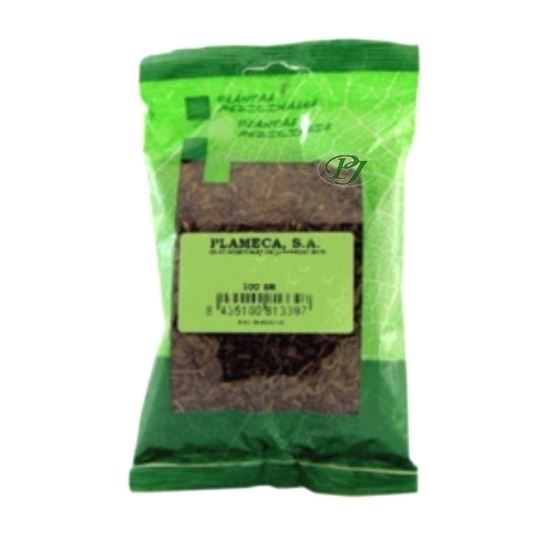 Planta Castaño De Indias 100 Gr. - Plameca