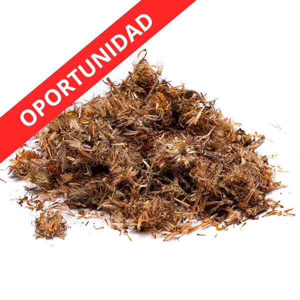 Planta Bolsa Arnica