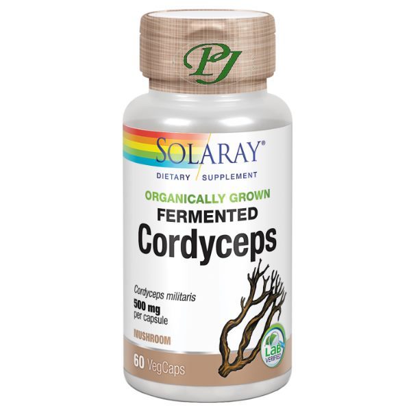 Cordyceps 60 Cápsulas 500 Mg. - Solaray
