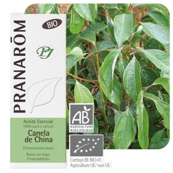 Aceite Esencial Canela China 10 Ml. - Pranarôm
