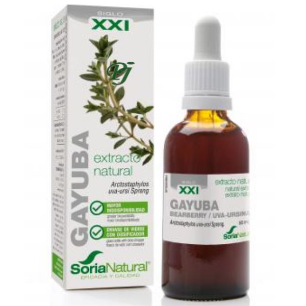 Extracto Gayuba Fórmula Xxi 50 Ml. - Soria Natural