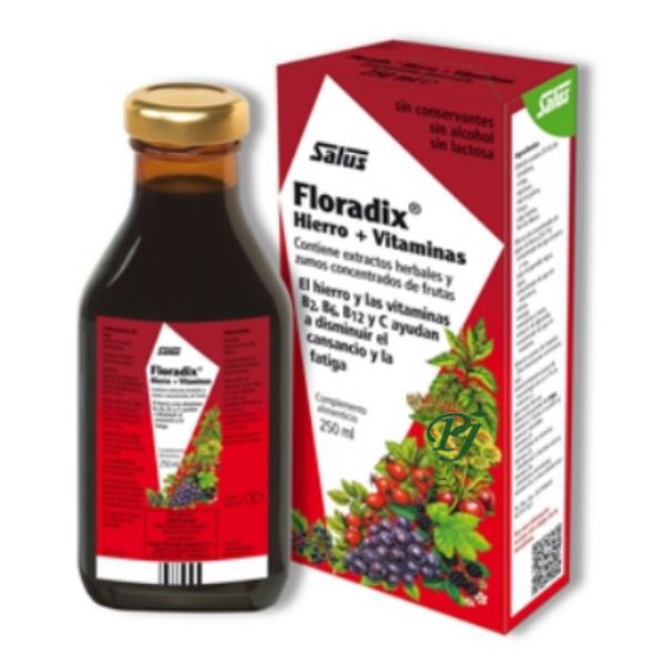 Jarabe Floradix 250 Ml. - Salus