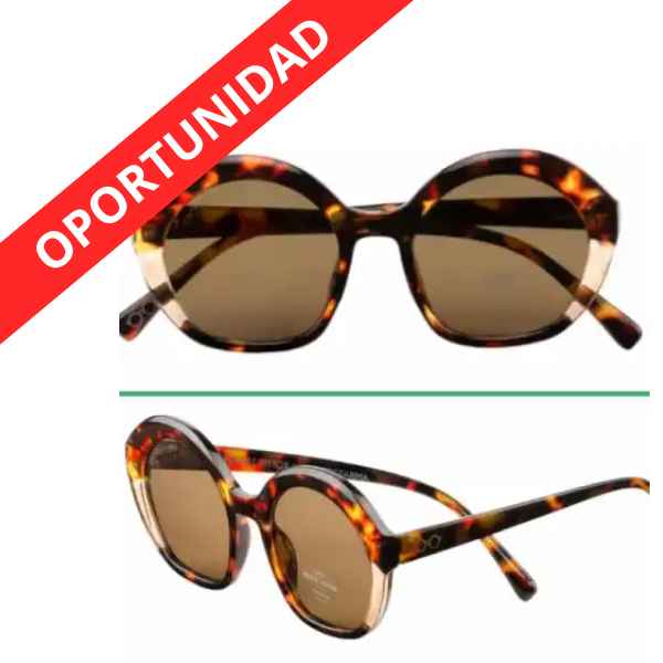 Gafas De Sol Ptf1027 Vigo C2 Brown (2024) - Protecfarma