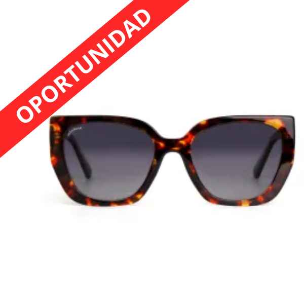 Gafas De Sol Ibiza C5 Havana (2025) - Protecfarma