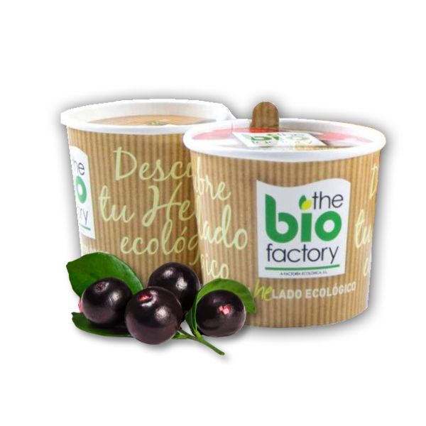 Helado Açaí Vegano 100 Ml. - The Bio Factory