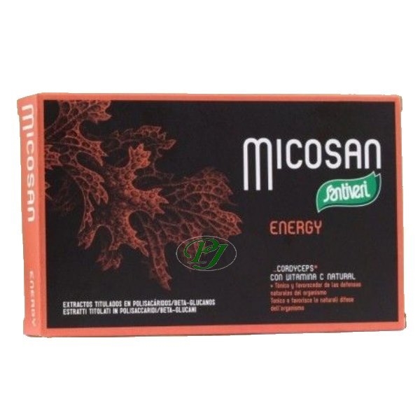 Micosan Energy 40 Cápsulas - Santiveri