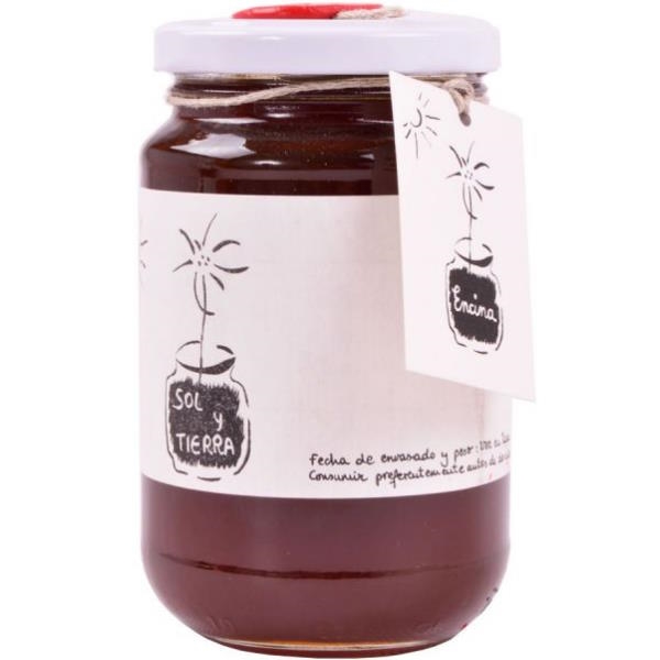 Miel Encina 500 G. Bio - Sol Y Tierra
