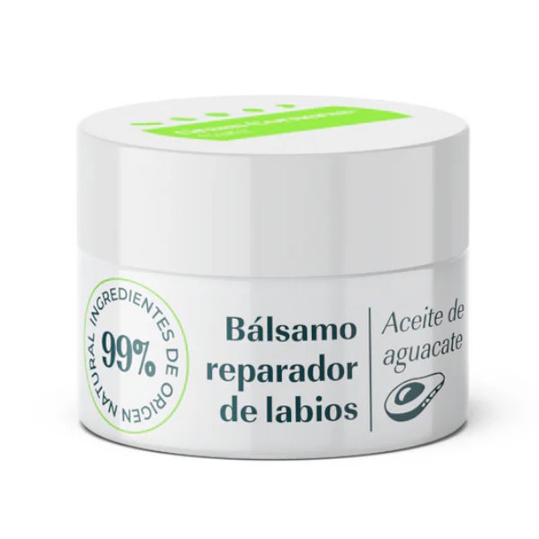 Bálsamo Labial De Aguacate 15 Ml. - Green Cornerss