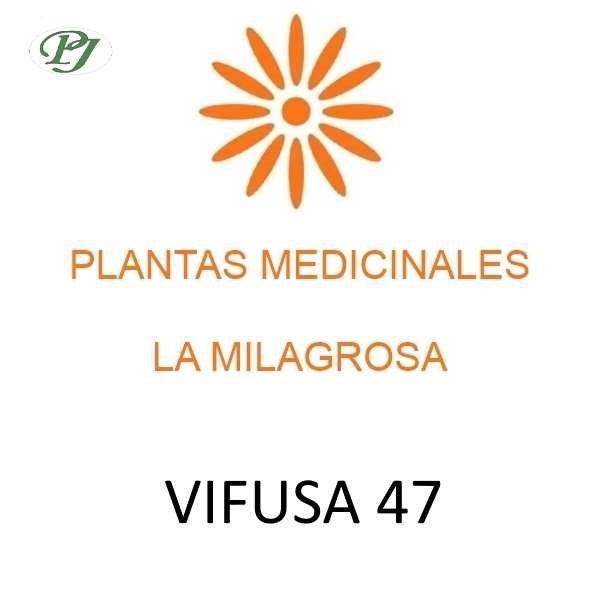 Vifusa 47 - La Milagrosa