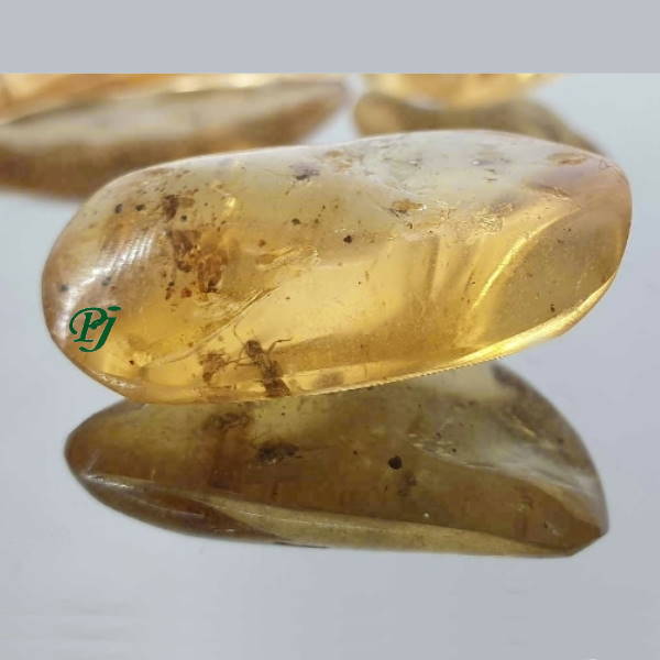 Rodado Copal Con Insectos - Prominer