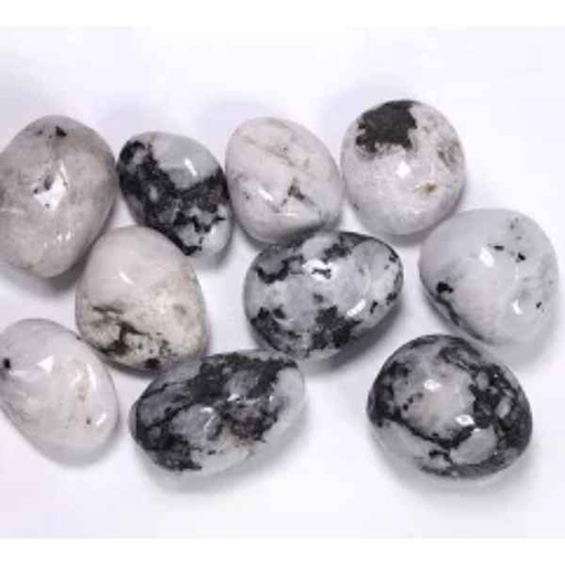 [100024] Rodado Piedra Luna 18 30 Mm. - Prominer
