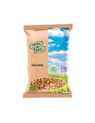 [011846] Planta Bolsa Jengibre Raíz - Herbes Del Molí