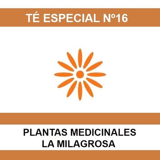[01293] Te Especial Nº16 - La Milagrosa