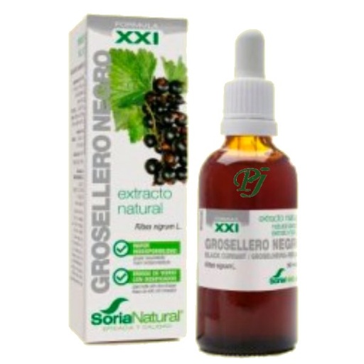 [0502310] Extracto Grosellero Negro Fórmula Xxi 50 Ml. - Soria Natural