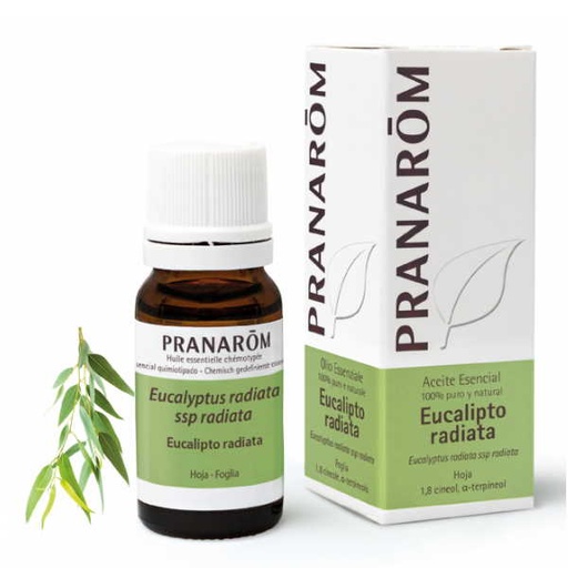 [0504209] Aceite Esencial Eucalipto Radiata 10 Ml. - Pranarôm