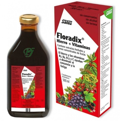 [05077] Jarabe Floradix 500 Ml. - Salus