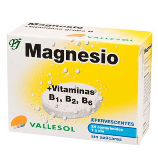 [052475] Magnesio Efervescente 24 Comprimidos - Vallesol