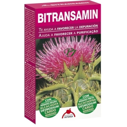 [052885] Bitransamin 60 Cápsulas - Intersa Labs