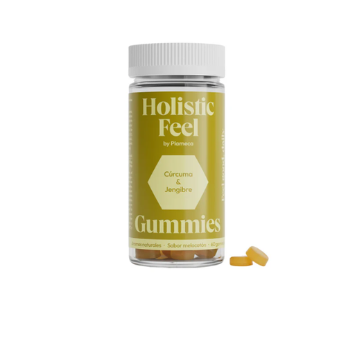 [300124] Holistic Feel 60 Gummies - Plameca