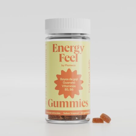 [300127] Energy Feel 60 Gummies - Plameca