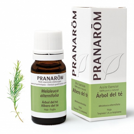 [0504738] Aceite Esencial Árbol De Té 10 Ml. - Pranarôm