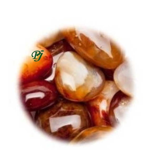 [100303] Carneola Rodado Pequeño - Kunugi